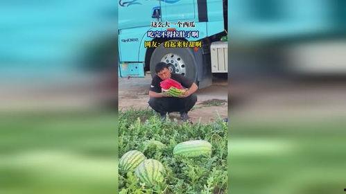 吃拉瓜拉肚子,揭秘吃拉瓜的真相