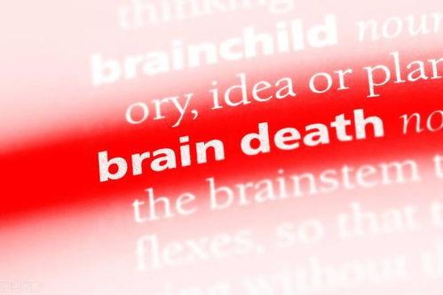 如何界定头条内容抄袭,如何辨别原创与抄袭