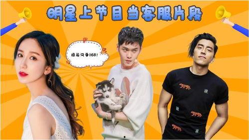 明星客户,揭秘行业领军者的成功之道