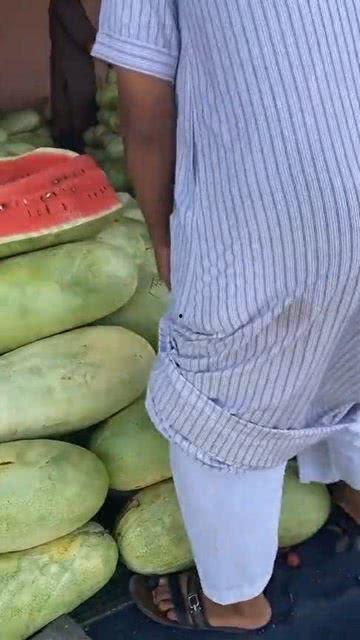 吃很大很大的瓜,揭秘那些让人惊叹的巨型瓜果传奇