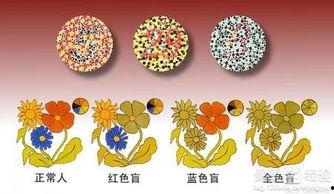 哪些明星是色盲,他们眼中的世界有何不同？