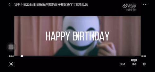 小太阳网红锯齿兽,萌动人心的网络新宠