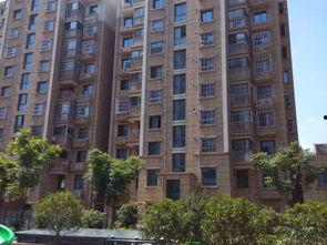 徐州城北花苑新闻头条,揭秘花苑发展新篇章