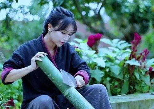 网红李子沈寄,从网红到创业新星的蜕变之路