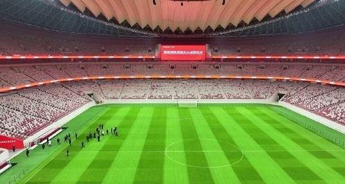 西安足球场爆料事件视频,揭秘幕后真相与争议焦点