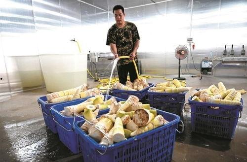 柳州吃瓜新闻事件,一场网络舆论的风暴与反思