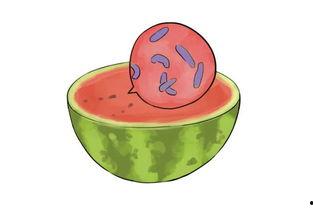 吃瓜遇到缘分,缘分的奇妙邂逅