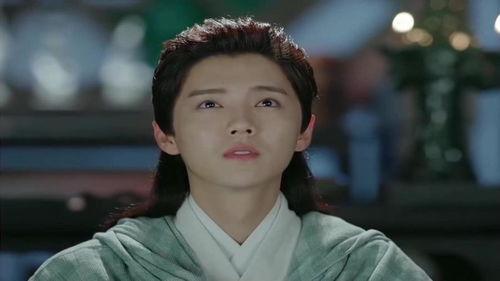 择天记的明星,明星阵容闪耀，演绎奇幻传奇