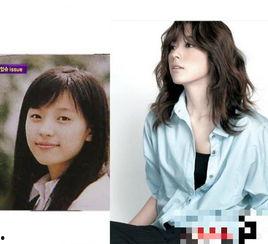 冒充明星 定期整容,揭秘冒充者与定期整容的疯狂人生