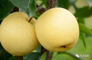 柳哥吃瓜,揭秘娱乐圈那些不为人知的幕后故事