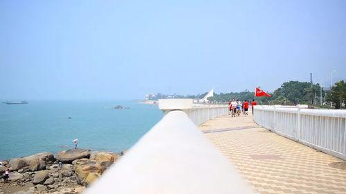 网红小鱼厦门大学,探寻青春校园的活力风采