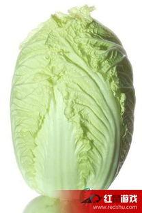 娱乐大爆料大白菜