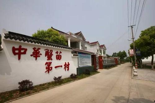 马鞍山新闻头条2020,回顾年度焦点事件与重大新闻