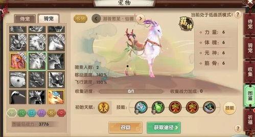 最新骑宠爆料,创新科技与萌宠共舞