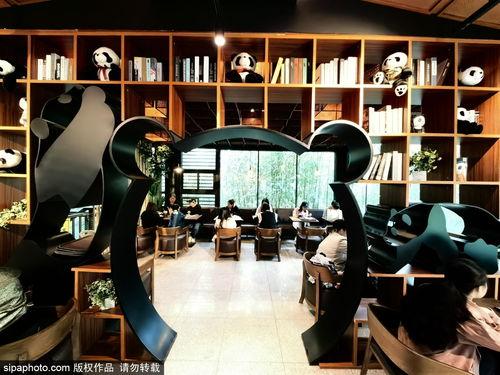 望京网红咖啡厅,探秘望京时尚咖啡厅的魅力